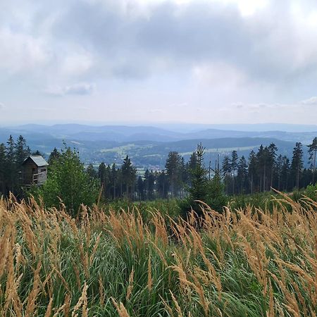 Apartament Mountains Gory Sowie Jugów Екстериор снимка
