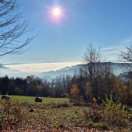 Apartament Mountains Gory Sowie Jugów Екстериор снимка
