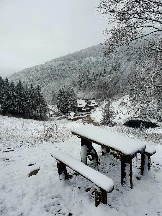 Apartament Mountains Gory Sowie Jugów Екстериор снимка