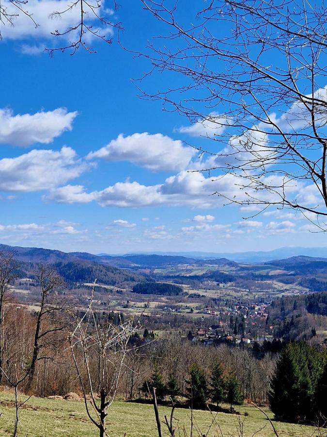 Apartament Mountains Gory Sowie Jugów Екстериор снимка