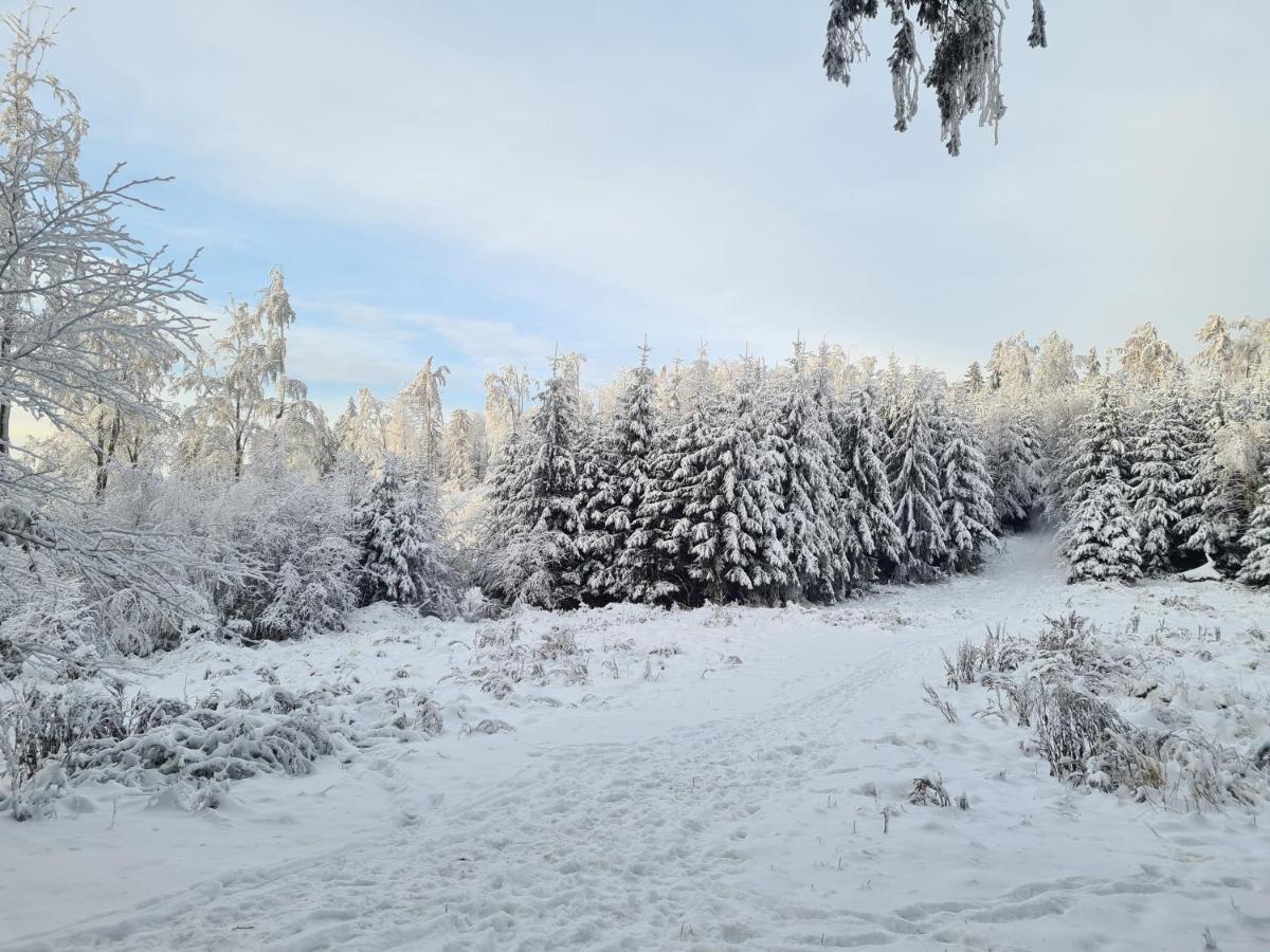 Apartament Mountains Gory Sowie Jugów Екстериор снимка